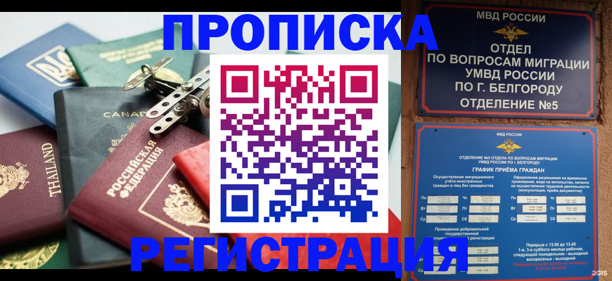 временная регистрация недорого в Щучье